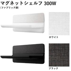 LIXIL（リクシル） マグネットシェルフ300W NT-300A(2)-1S/色 浴室収納