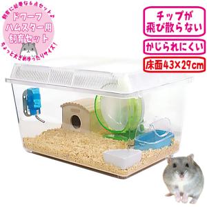 ジャンガリアンハムスター飼育セット ゆったり【冬仕様】/飼育ケース