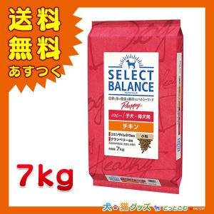 SELECT BALANCE セレクトバランス パピー チキン 小粒 子犬・母犬用3kg