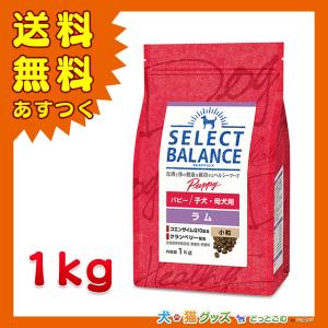 SELECT BALANCE セレクトバランス アダルト ラム 小粒 1才以上の成犬用