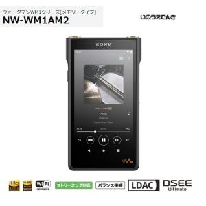 WALKMAN SONY ポータブルプレーヤー NW-WM1AM2 128GB ウォークマン高級