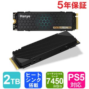 Hanye HE70-2TBNHS1 [HE70 M.2 Type2280 NVMe 2TB] 内蔵型SSD - 最安値