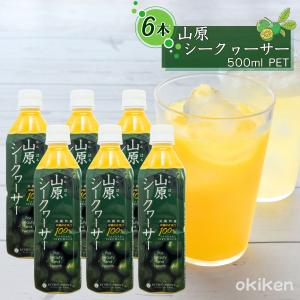 青切り シークヮーサー100（500ml）【6本セット】シークワーサー 100
