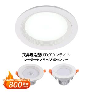 IRIS OHYAMA（アイリスオーヤマ） LSB100-0650NCAW-V3 断熱施工対応 高