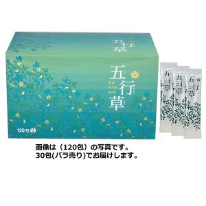 イスクラ 板藍茶 120包 賞味期限2027年 大袋から化粧箱へ Amazon 【