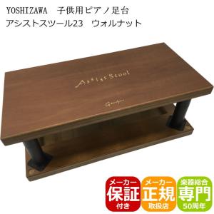 吉澤 【its】2023年秋・改良最新型入荷！YOSHIZAWA Newアシスト
