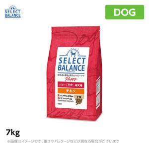 SELECT BALANCE （国産おやつ＆おまけ付き）セレクトバランス パピー