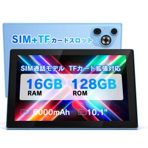 iPad Pro Apple 第1世代 11インチ A1980 256GB Wi-Fiモデル Wi-Fi [C