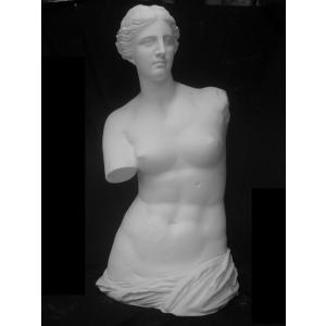 H−010 アムール半身像 : 石膏像ドットコム - 通販 - Yahoo