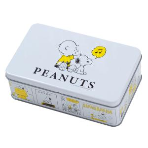 sanrio（サンリオ） 裁縫セット リトルツインスターズ キキララ うす型