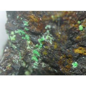 CONICHALCITE(コニカルコ石)山口県喜多平鉱山5369 : ラピス - 通販