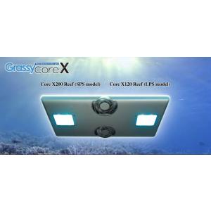 volxjapan（ボルクスジャパン） Grassy Core X120