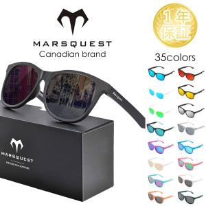 SWANS（スワンズ） FO-3518 GD23 FACEONE 源田選手モデル サングラス