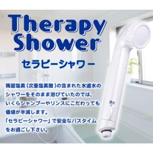 フリーサイエンス 正規代理店 ウォーターセラピィー 1台（カートリッジ