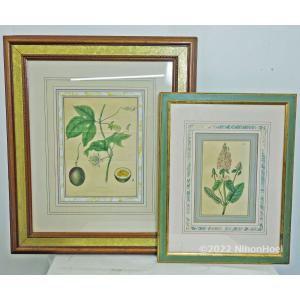 絵画 工芸品 漆 ◇ 屏風 四曲一隻 九雀 螺鈿 インテリア : 日本