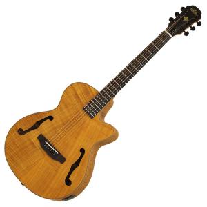 調整済 アリア Aria-101CE エレクトリック アコースティックギター