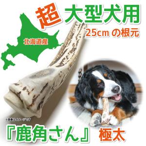 鹿の角 超大型 犬 用 鹿角さん 半割り 約25cm 1本 天然 無添加 北海道