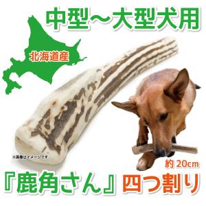 鹿の角 鹿角さん 中型 犬 〜大型犬用 四つ割りロング1本 天然 無添加