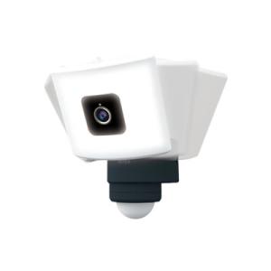 ムサシ RITEX LEDセンサーライト C-AC8160 防犯カメラ 8W×2灯 照らす