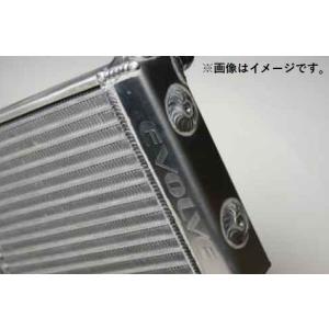 個人宅発送可能 HPI EVOLVE 汎用オイルクーラーキット コア単体 サイド