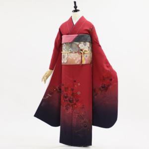 正絹振袖+半衿付き長襦袢+帯+帯揚+帯〆+重衿 6点セット 可愛さと個性の