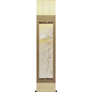 掛軸 (掛け軸) 春用 桜に小禽 北条静香 尺五立 約横54.5cm×縦190cm