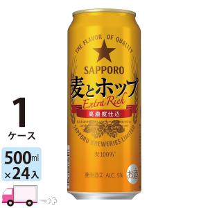 サッポロ 黒ラベル 500ml 24缶入 2ケース (48本) 送料無料 (一部地域