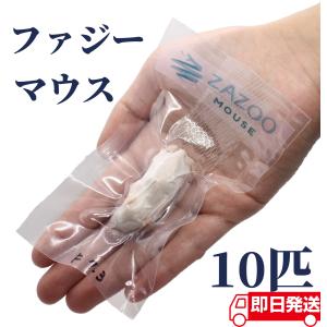 ZAZOO 国産 冷凍マウス ファジーマウス 6〜8 g 約5.0 cm 真空 個別包装