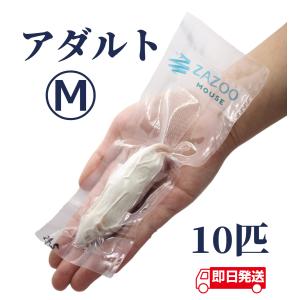 DMB爬虫類ケージ 50×30×35cm 5030 ガラス飼育ケージ 観音開きガラス