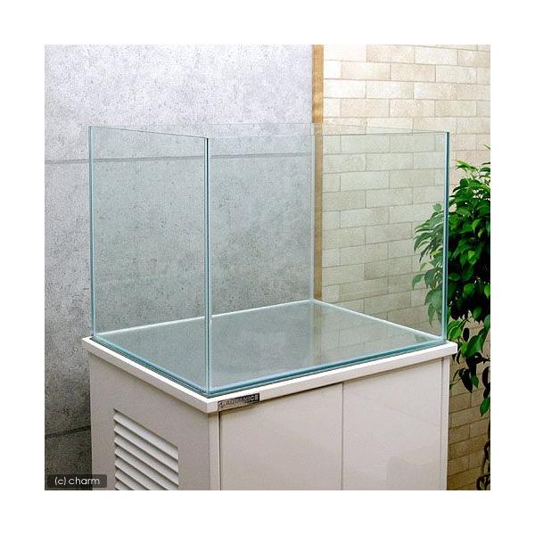 60×45×45 水槽」の人気商品一覧 | 安い商品を通販サイトから探す