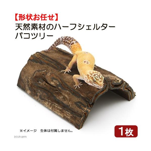Leaf Corp 爬虫類 シェルター 天然素材のハーフシェルター（パコツリー