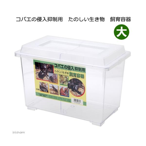 プラケース コバエの侵入抑制用 たのしい生き物 飼育容器 大 仕切り