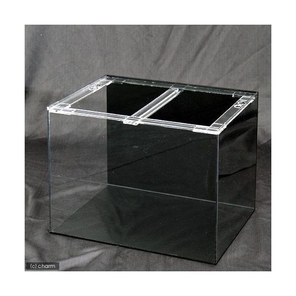 アクリル 水槽 45cm」の人気商品一覧 | 安い商品を通販サイトから探す