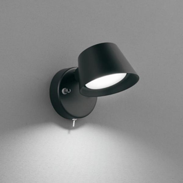 akari-denzai_4549727107693