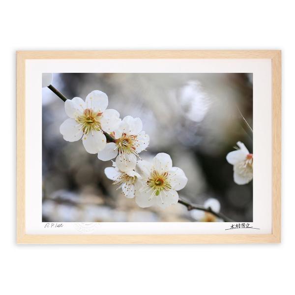 油絵 菅家令子 絵 絵画インテリア 額付(銀) F4-090116 花 すずらん