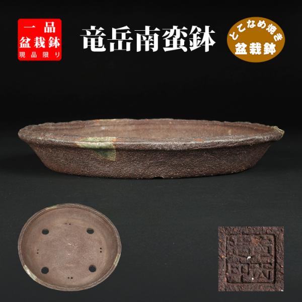 盆栽鉢 、植木鉢、名工丸山堂（松本重信）南蛮風真焼 狸面形絞出、急須