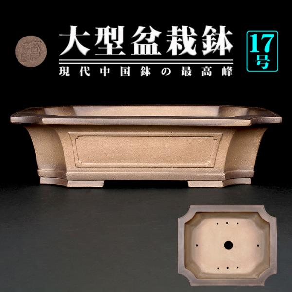 もつなべ 盆栽鉢 大型 斎田三峰 おまとめ もつなべ様専用 盆栽鉢 大型