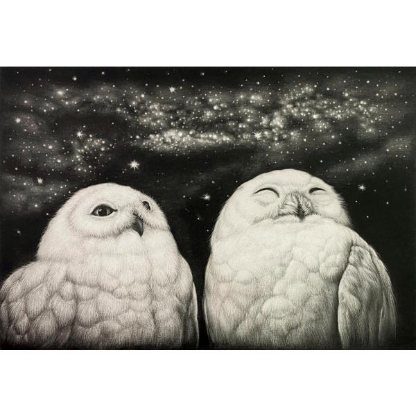 生田宏司「七夕」銅版画 メゾチント 額装 2羽のフクロウ 銀河 宇宙