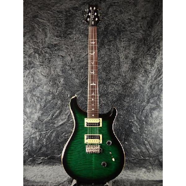 PRS custom24 SE グリーン ソフトケース付き PRS custom24 SE グリーン