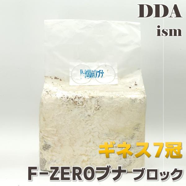 F-ZERO ブナ100% ブロック クワガタ 菌糸ビン 菌糸瓶 幼虫 エサ ブナ