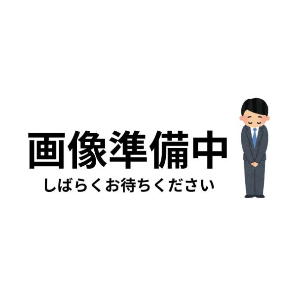 ヘアドライヤー hc-20n」の人気商品一覧 | 安い商品を通販サイトから