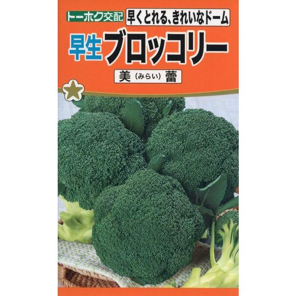 ブロッコリーの種 F1 ブロッコリー 美蕾(ミライ) 1ml 品番3544 種子