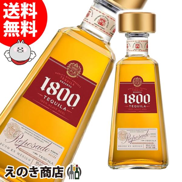 enokishouten_z2-2tpt-ddz3