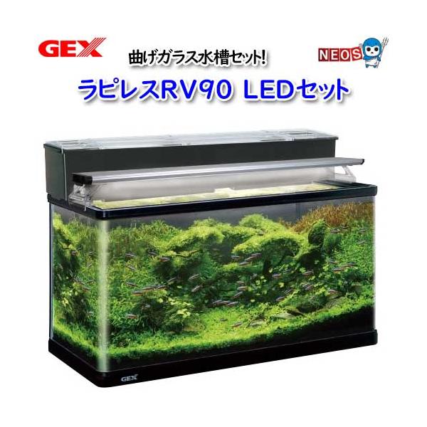 fish-y_gex20230101-72