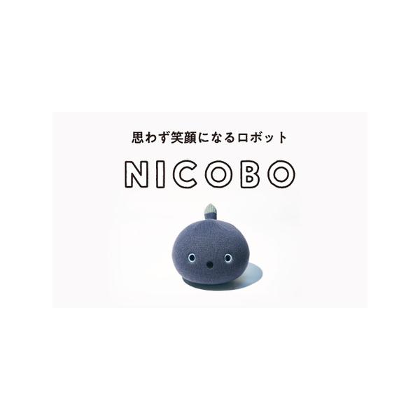 NICOBOーパナソニック製 充電器付き NICOBOーパナソニック製 充電器付き