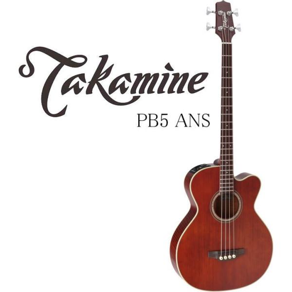 タカミネ ハードケース」の人気商品一覧 | 安い商品を通販サイトから