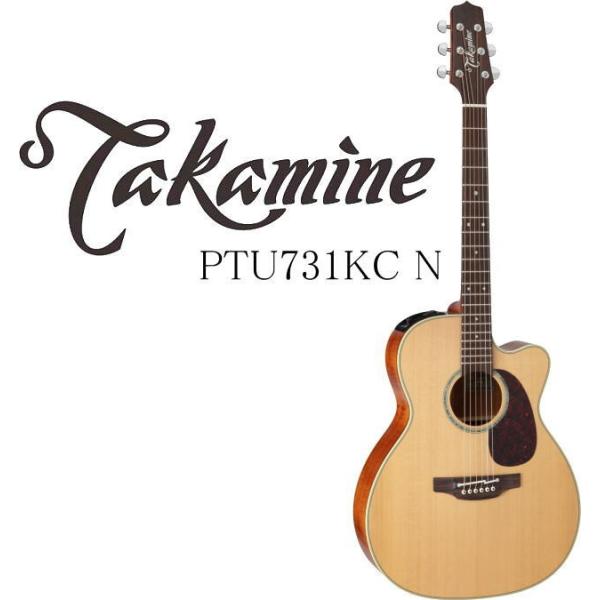 アコースティックギター Takamine エレアコ」の人気商品一覧 | 安い