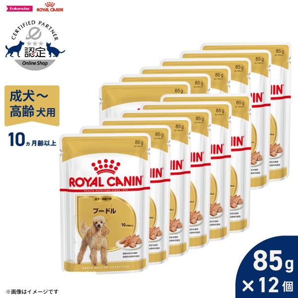 ロイヤルカナン（ROYAL CANIN） 犬 ドッグフード ウェット プードル