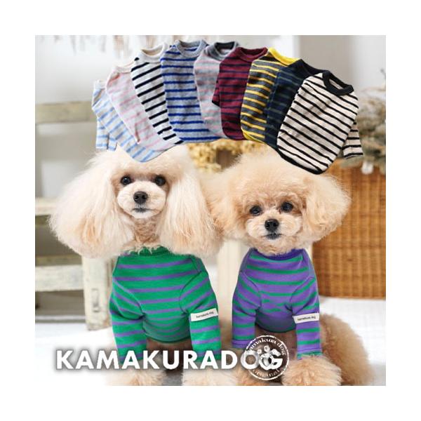 犬服 SS わんこの普段着フルーツカシェボーダー