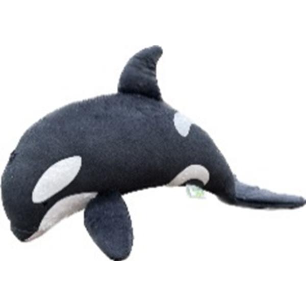 hondastore_collecta-2428